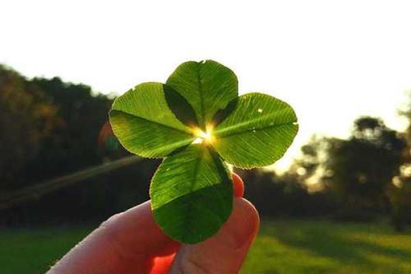 水命人的名字忌讳:如何选择合适的名字以助运势提升 水命人的名字忌讳:如何选择合适的名字以助运势提升