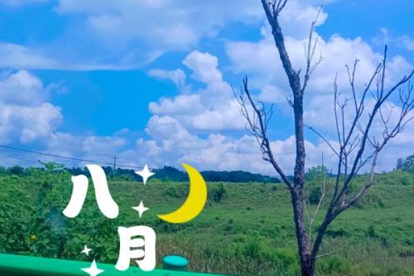 2003年11月出生命理解析：揭示你生命的潜在魅力与挑战