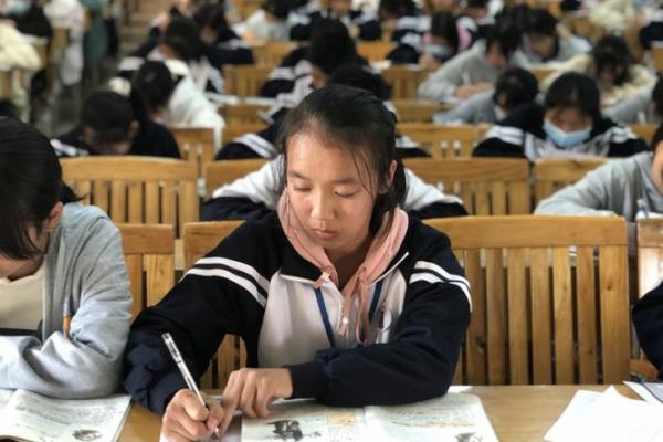 1995年属猪的命格揭秘：你将如何书写精彩人生？