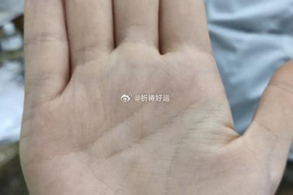 20018命运解析：探寻人生的隐藏密码与机遇启示