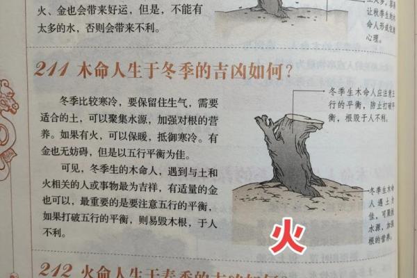 水命与火命：相生相克的神秘关系探讨
