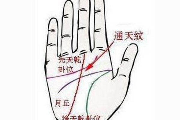 探索2000726命运背后的神秘力量与生辰八字的关联 探索2000726命运背后的神秘力量与生辰八字的关联