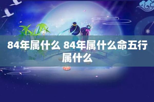 2019年鼠年命运解析：如何抓住机遇，迎接美好未来