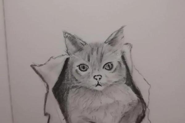 丙子时出生女命：热情如火，智慧与挑战并存的命运旅程