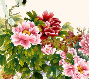 2018年是猪年，命理解析与生活智慧分享