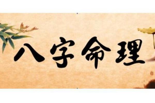 从我的名字看出命运的启示与人生哲思