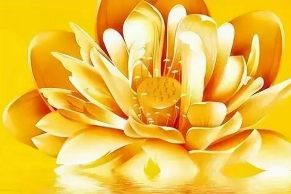 探寻19841225出生之人的命运与性格潜力