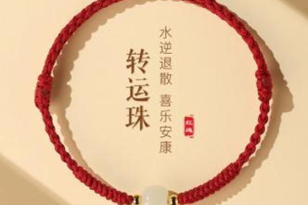 男命好过女命的深层含义与生活启示