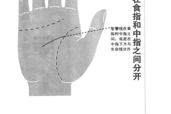 解密手上细纹，揭示你命运的秘密与人生的方向