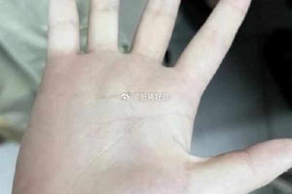 解密水克龙：探寻命格背后的智慧与奥秘