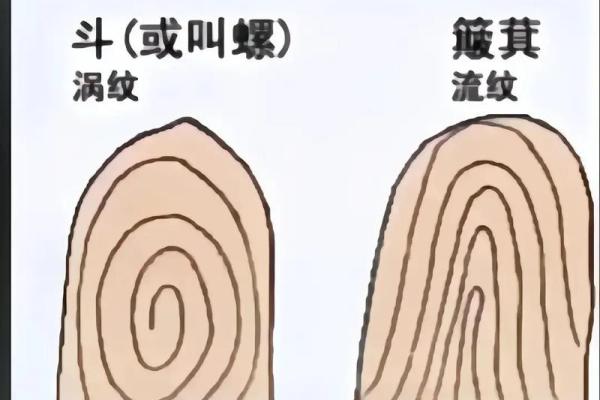 解密手上细纹，揭示你命运的秘密与人生的方向