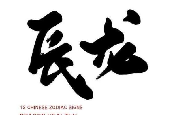 2022年属龙人的命运解析：解析五行与运势的奥秘