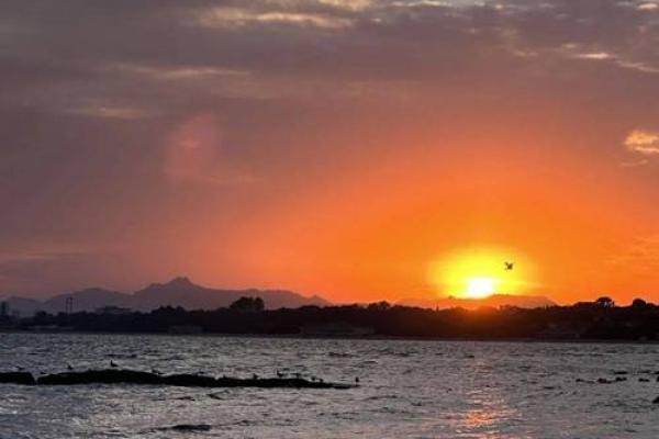 19951227出生的人命运解析：星辰的指引与人生的旅程