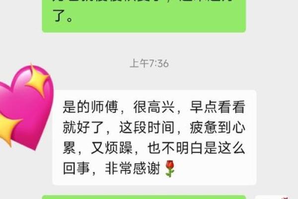 种树补命理：植物与命运的奇妙联系