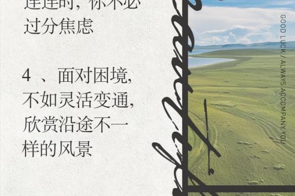 探秘19992.19，命运数字的奥秘与人生启示