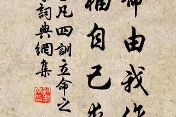 背叛最多的人是什么命：命运与选择的交响曲