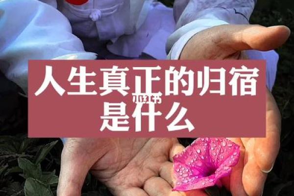 解密20180828:这个日期背后的命理与人生启示 解密20180828:这个日期背后的命理与人生启示