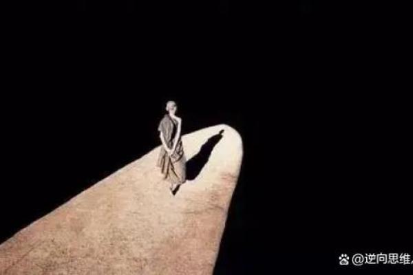 探索自我价值的意义：不带帝命下的人生之旅