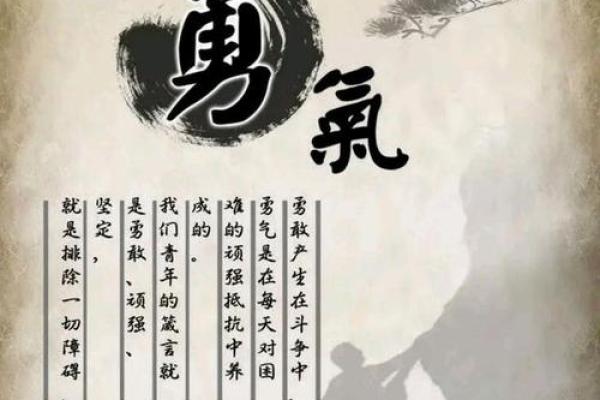戊寅年：土命的传承与追寻，绽放生命的智慧与力量