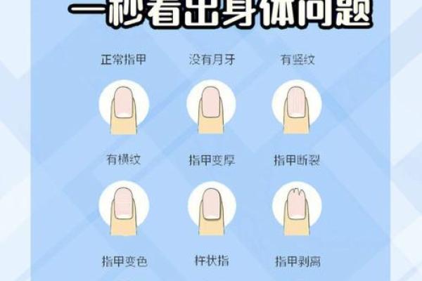 指甲的秘密：通过指甲形状揭示你的命运与性格