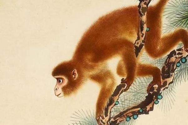 1997年属什么生肖及其命运分析:探寻人生的智慧与挑战 1997年属什么生肖及其命运分析:探寻人生的智慧与挑战