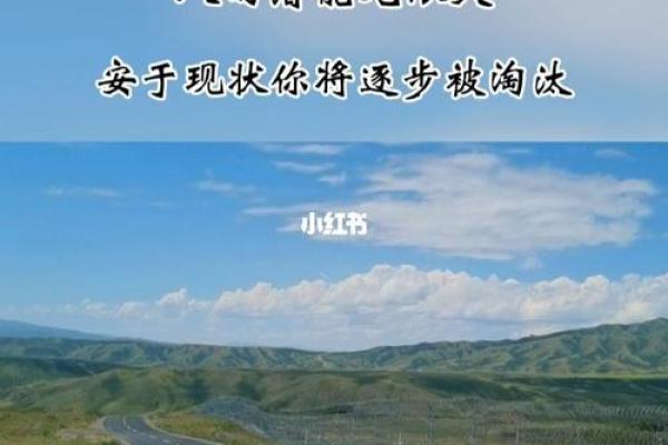 19900917出生的命运解析：探索你的潜能与人生之路