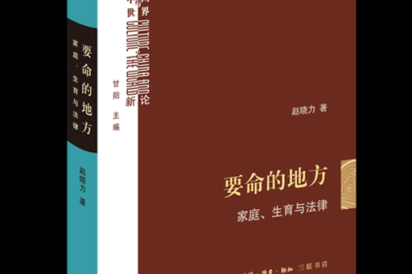 命里全是儿子：女人的命运与家庭幸福的探讨