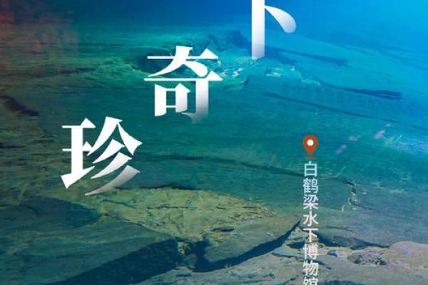 1995年11月28日出生的命格分析与性格解读