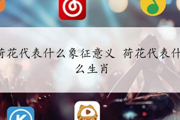 命里带莲花：揭开生肖与莲花的神秘联系