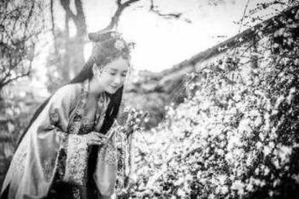 解析官算权贵命格，揭秘女性幸福人生的奥秘