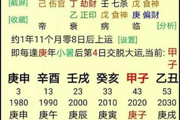 土命与木命的神秘关系：自然界中的相生相克