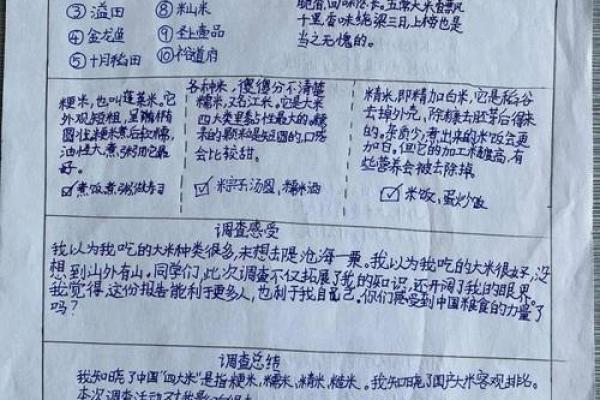 袁隆平：一位改变世界的农业科学家与他的命局解析