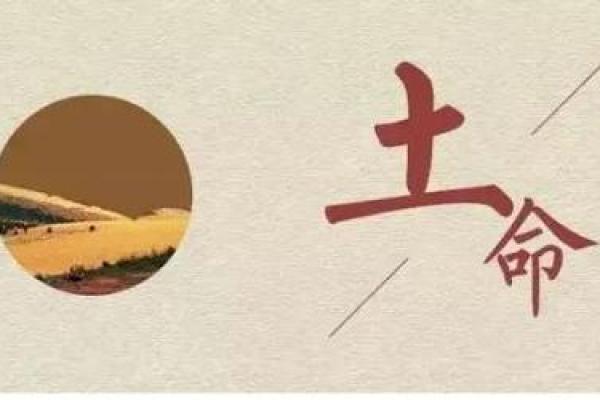 土命人与金命性格：探寻命理之美的独特之旅