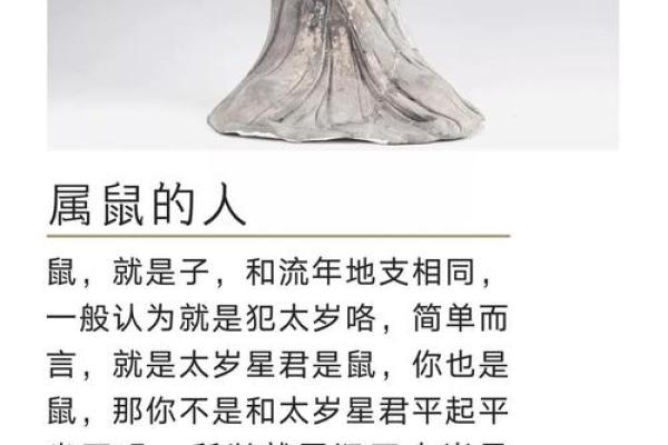 2022年鼠年命理解读：探寻老鼠的命运与性格特点