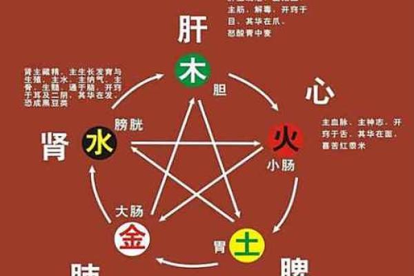 1982火命的独特命运与五行补益之道