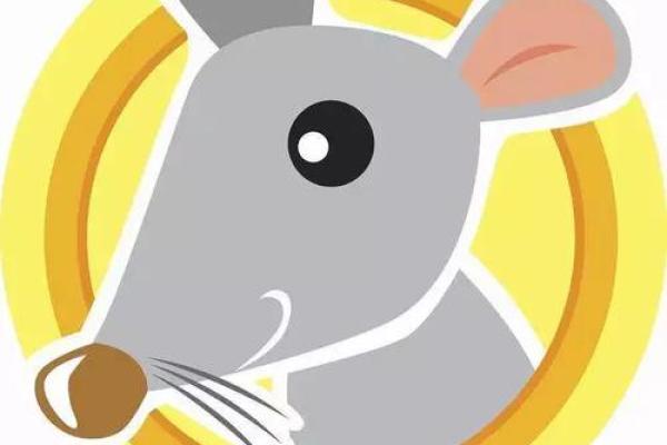 2022年鼠年命理解读：探寻老鼠的命运与性格特点