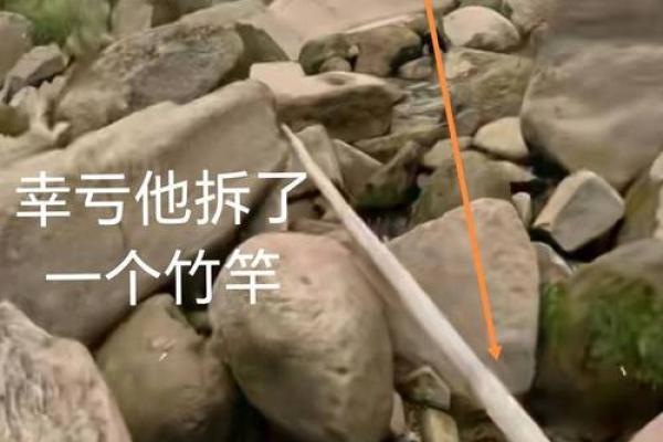 1897年属鸡的人：一生的命运与性格分析