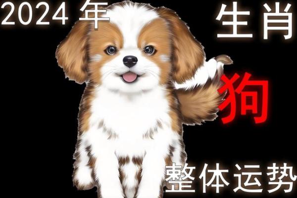 1221命格解析：揭示你命运的神秘密码