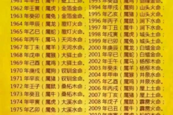 女炉中火命与哪些命最配的深度解析 女炉中火命与哪些命最配的深度解析