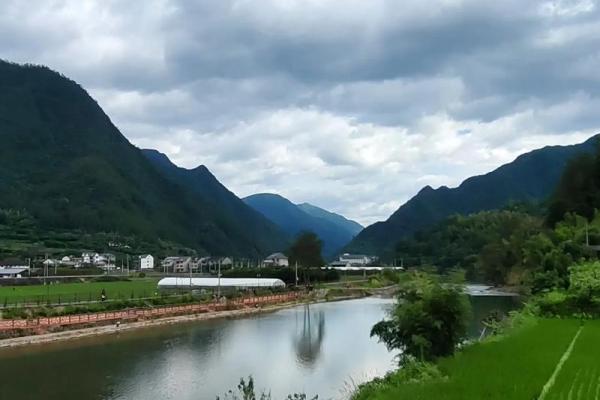 1954年属鸡人命运分析：从五行看生活的丰富与挑战