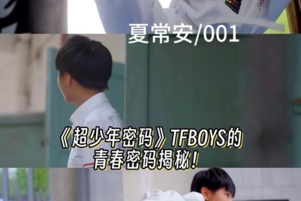 1221命格解析：揭示你命运的神秘密码