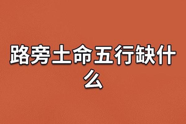 人什么提什么命:换个角度看人生的选择与命运 人什么提什么命:换个角度看人生的选择与命运