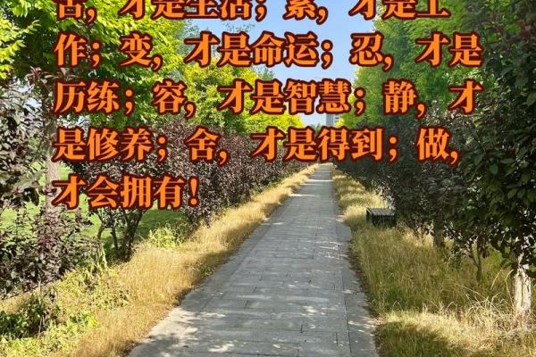 98年某月出生的人命运解析及生活智慧