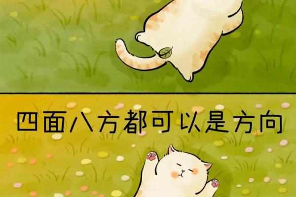 大器晚成的命格解析：你的人生会在何时绽放光彩？