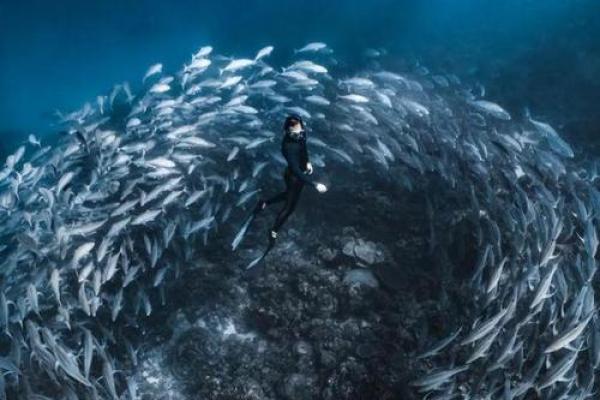 2023年是黑水牛年，解读黑水牛对命运的影响与生活启示