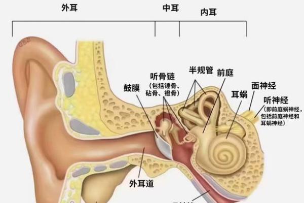 探索“什么危什么命”的词语魅力:语言的奥秘与文化的传承 探索“什么危什么命”的词语魅力:语言的奥秘与文化的传承