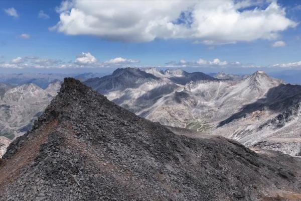 2023年是黑水牛年，解读黑水牛对命运的影响与生活启示