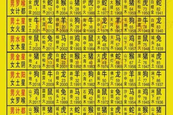 如何通过猴子命理了解缺什么命格的人生