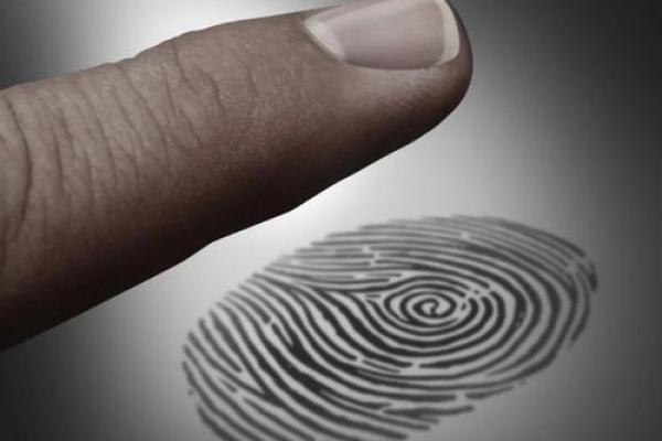 探寻拇指与富贵命之间的神秘关联，解密手相中的财富之路！