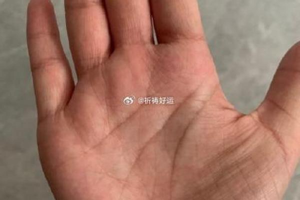 三命通会：揭秘生肖背后的命运密码